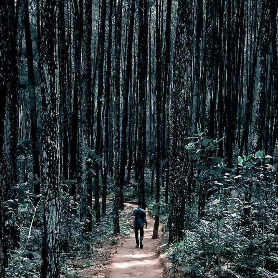 Seribu Batu Songgo Langit Resort & Camp بانتول المظهر الخارجي الصورة